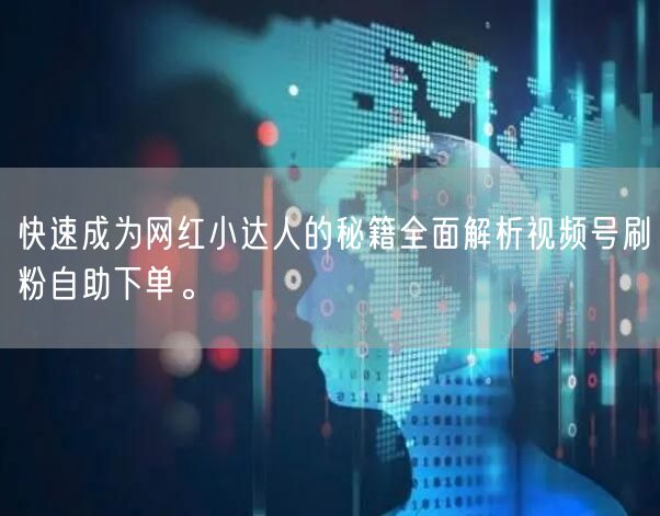 快速成为网红小达人的秘籍全面解析视频号刷粉自助下单。
