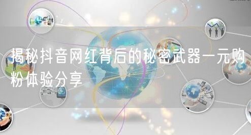 揭秘抖音网红背后的秘密武器一元购粉体验分享