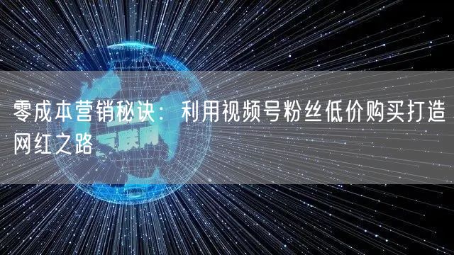 零成本营销秘诀：利用视频号粉丝低价购买打造网红之路
