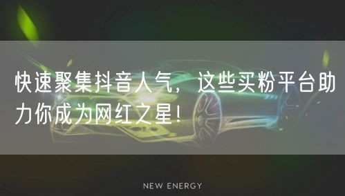 快速聚集抖音人气，这些买粉平台助力你成为网红之星！